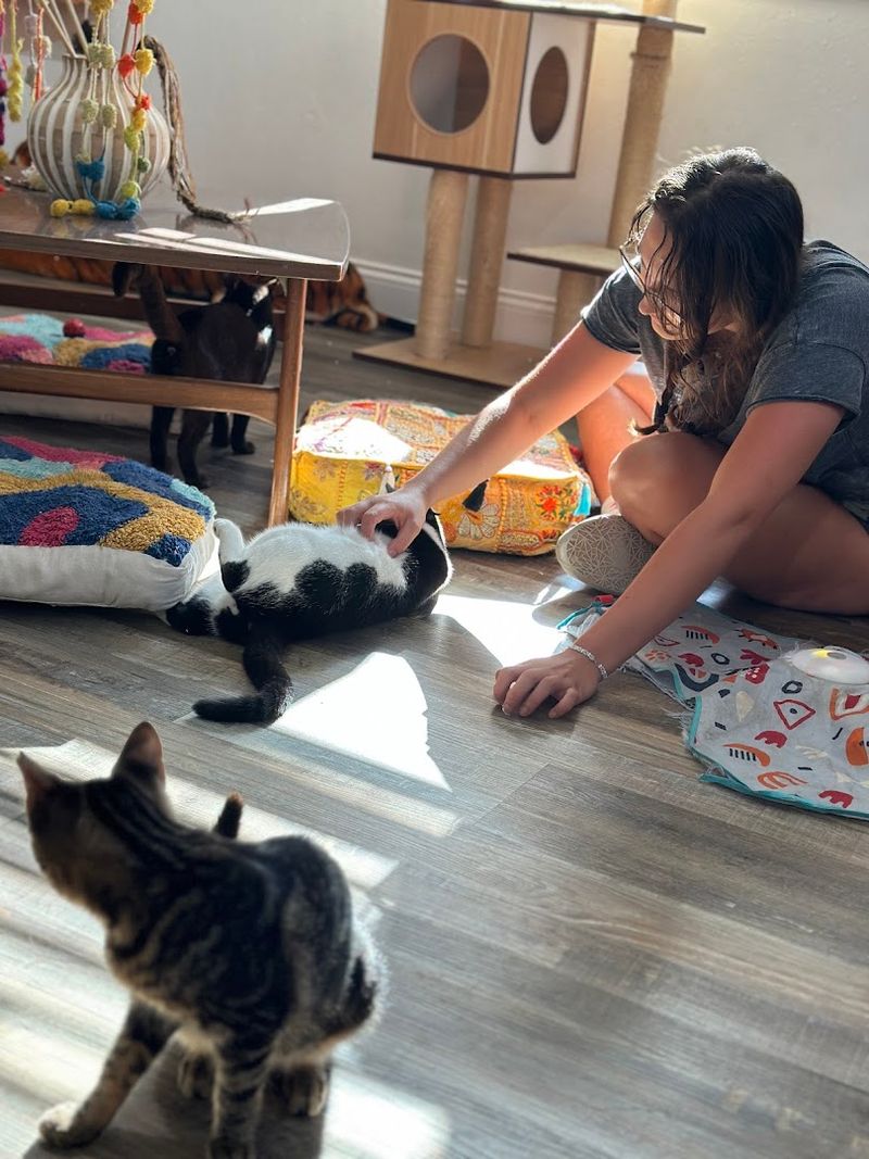 Events and Community Engagement