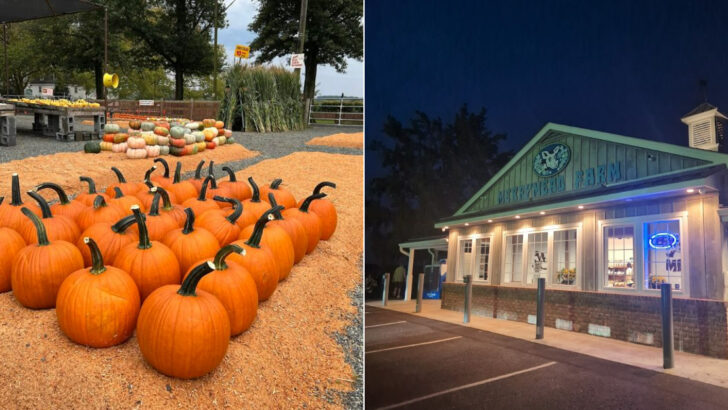 A Century-Old Dairy Farm on Valley Forge Road in Pennsylvania Still Makes Ice Cream the Way Your Grandparents Remember