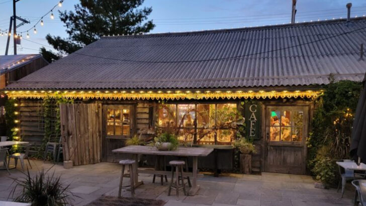 A Century-Old Greenhouse in Pennsylvania Became One of the Most Beautiful Restaurants in the Country