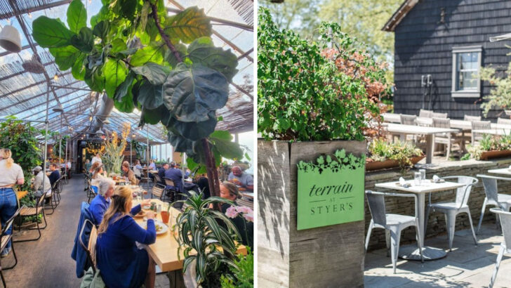A Century Old Greenhouse in Pennsylvania Became a Restaurant Where Vines Surround Every Table