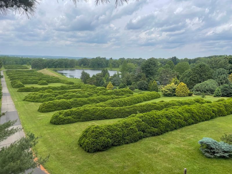 The Iconic Dawes Hedge Lettering