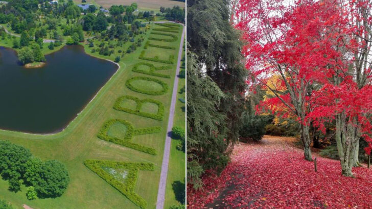 A Century-Old Ohio Arboretum Blends Flowering Trees, Lake Views, And Long Peaceful Trails