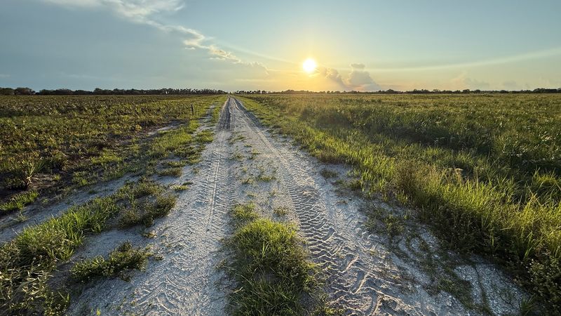 Flat Open Prairie That Feels Nothing Like the Rest of Florida