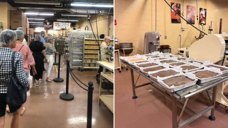 A Chocolate Shop In Florida Turns A Simple Visit Into Truffles, Tastings, And Behind-The-Scenes Candy Making