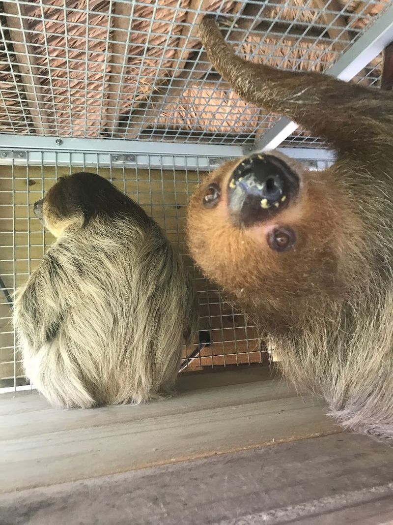 Why It Is Worth the Drive From the Orlando Area