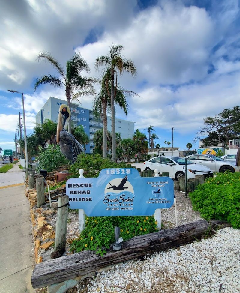 A Nonprofit Dedicated to Saving Florida's Wild Birds