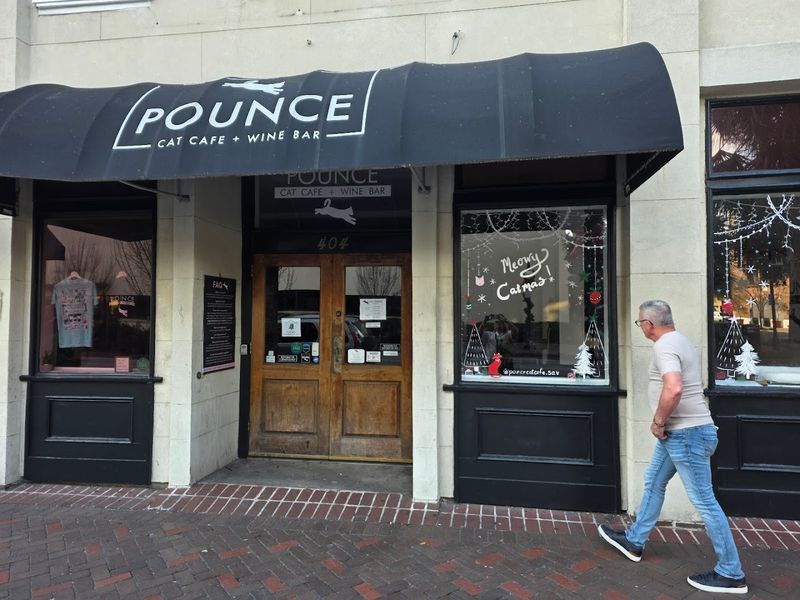 The Numbers Behind the Mission: 4,000+ Cats and Counting