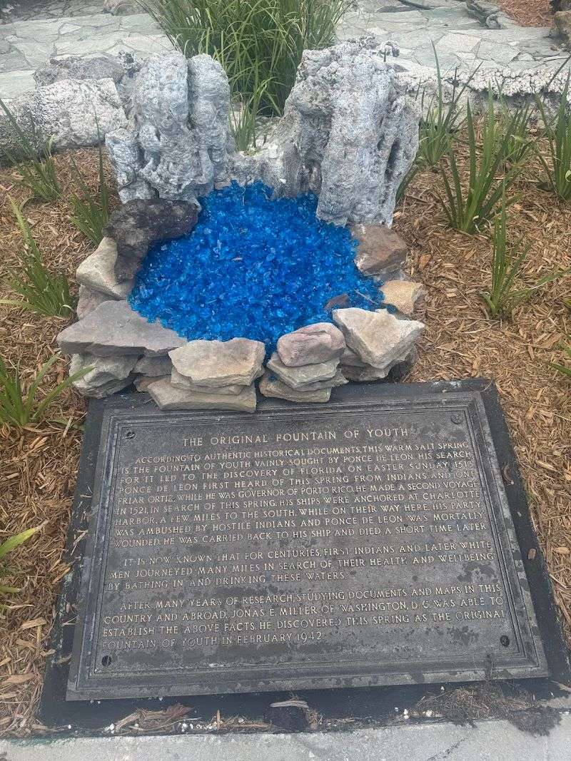 A Fountain of Youth Reputation