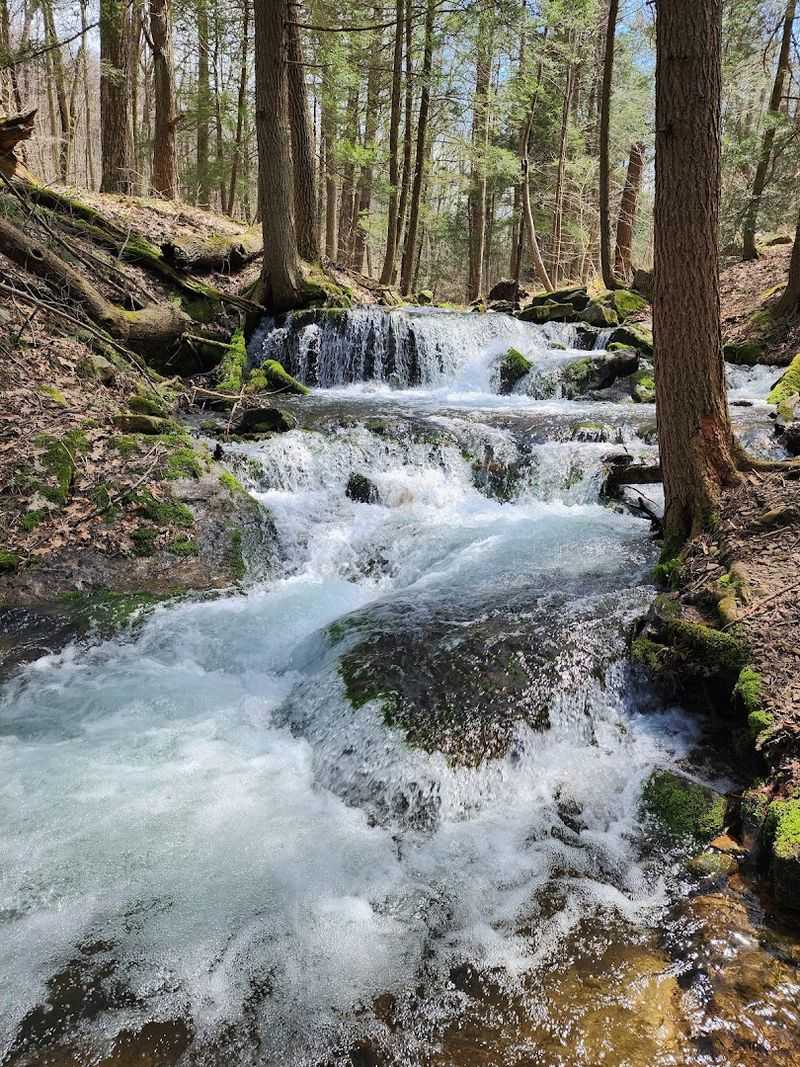 An Ideal Spot for Quiet Photography