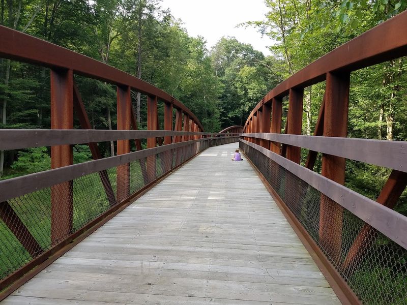 The Appalachian Trail Crossing