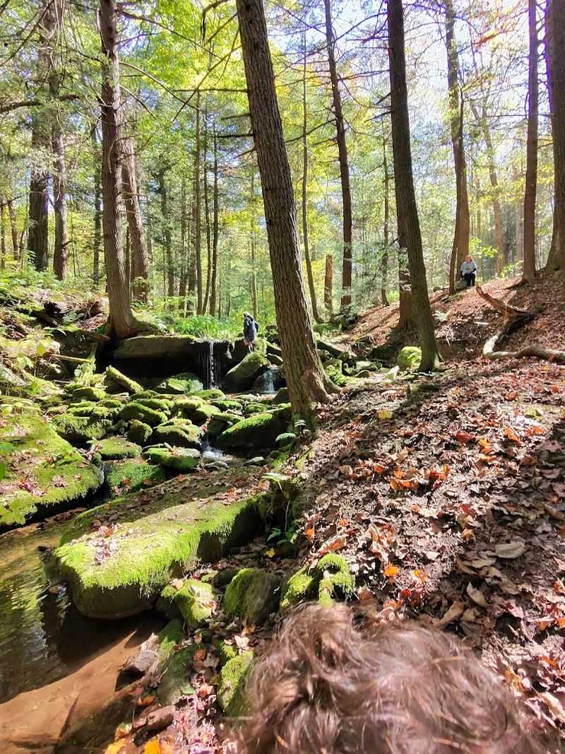 Easy Access for a Quick Nature Break