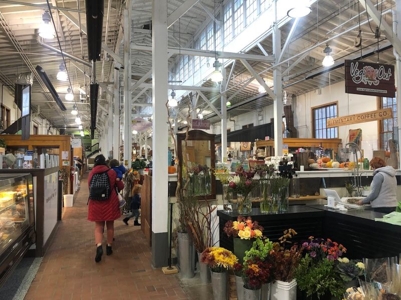 Resilience Through Fire and Restoration