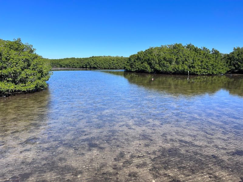 A Rare Mix of Ecosystems in One Preserve