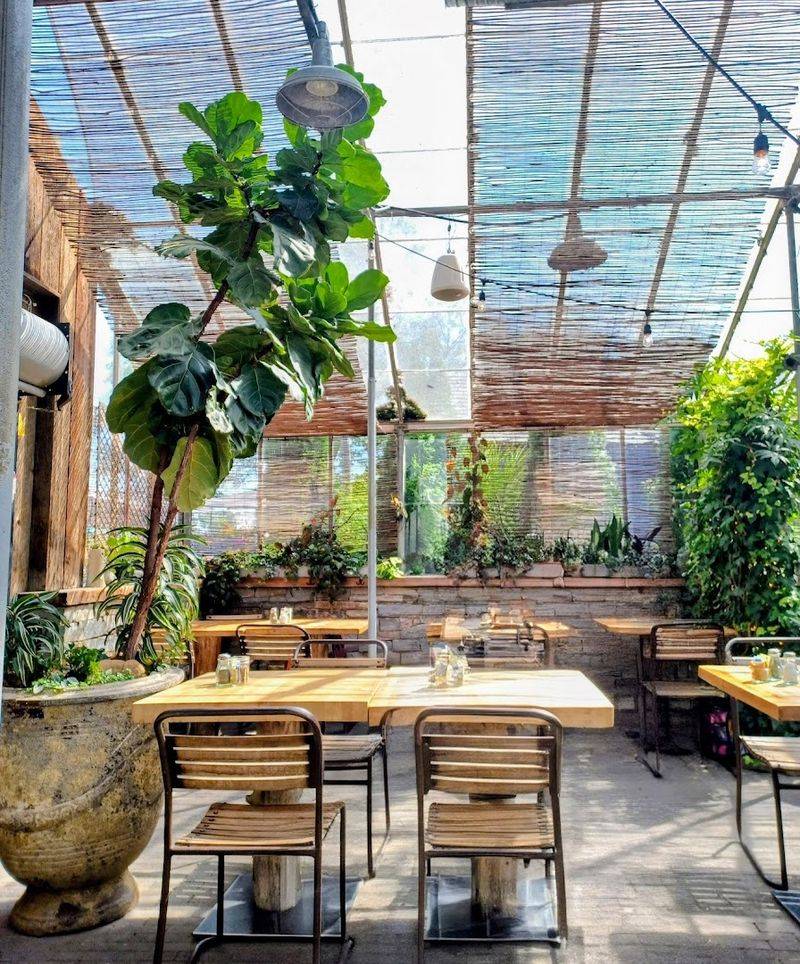 Designed to Feel Like Nature Indoors