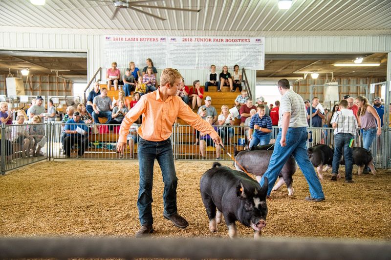 The Fair Week Energy