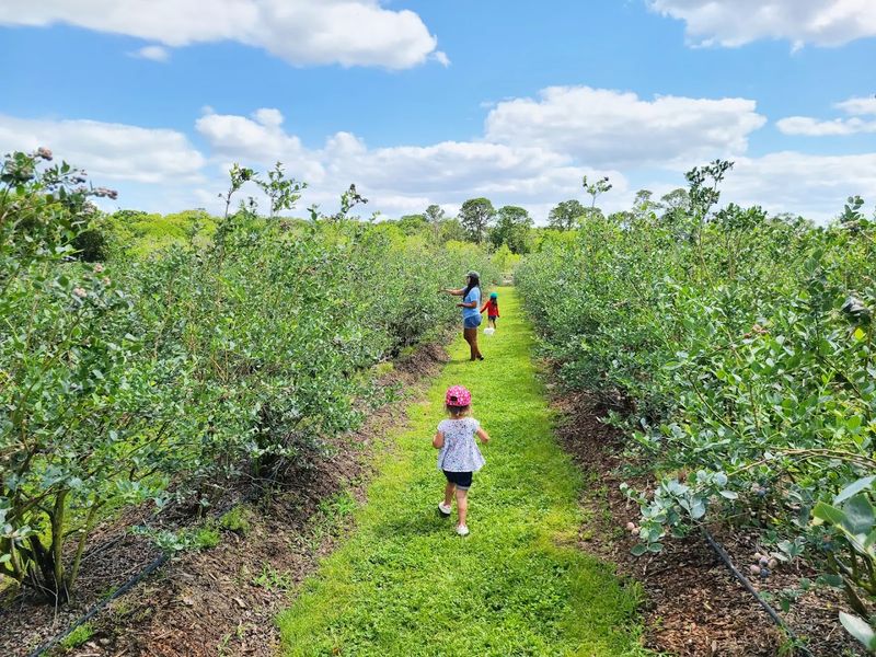 Visitor Info and Tips for Planning Your Trip