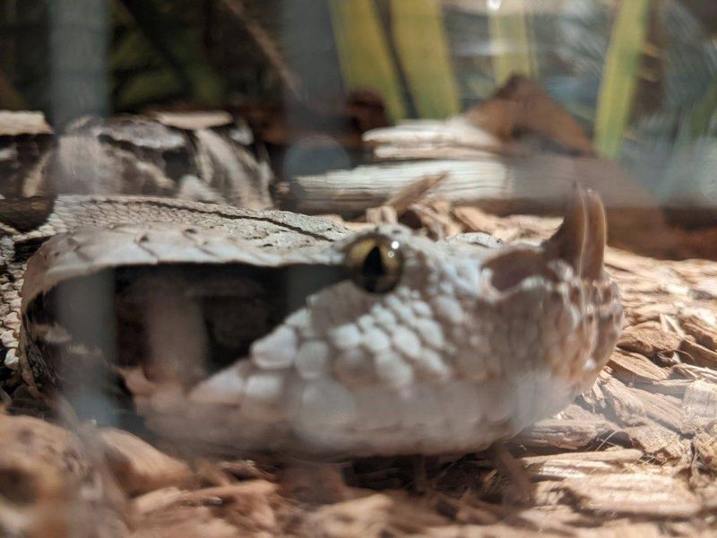 A Mission Rooted in Animal Care