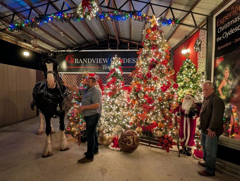 The Christmas and Holiday Tour Magic