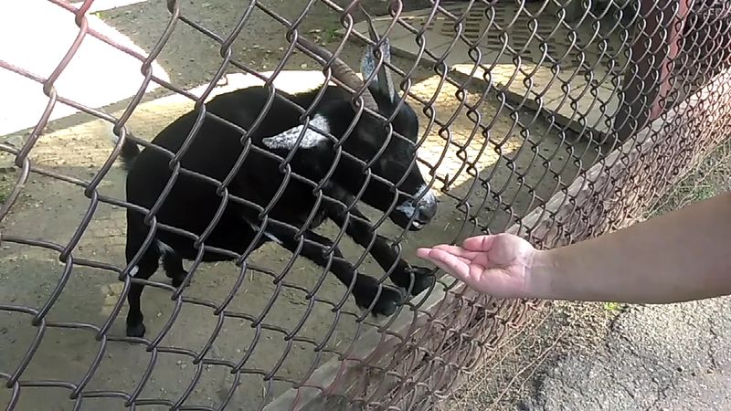 A Manageable Size That Works for Real Families