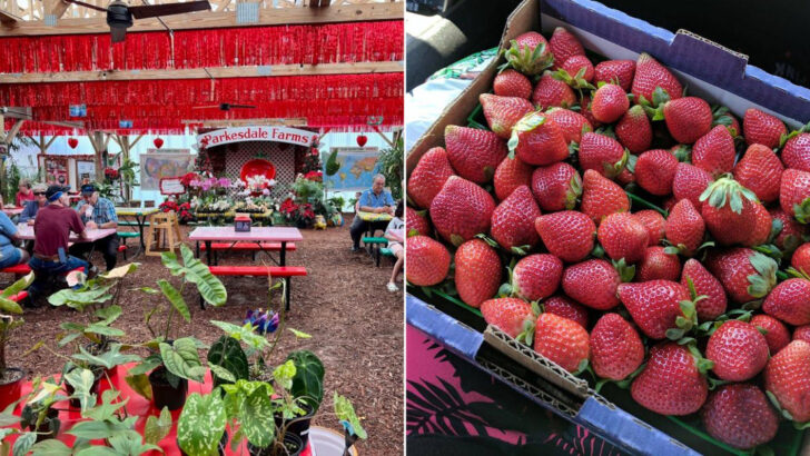 A Farm Market In Florida Turns Fresh Strawberries, Shortcake, And Shakes Into A Sweet Road Trip Stop