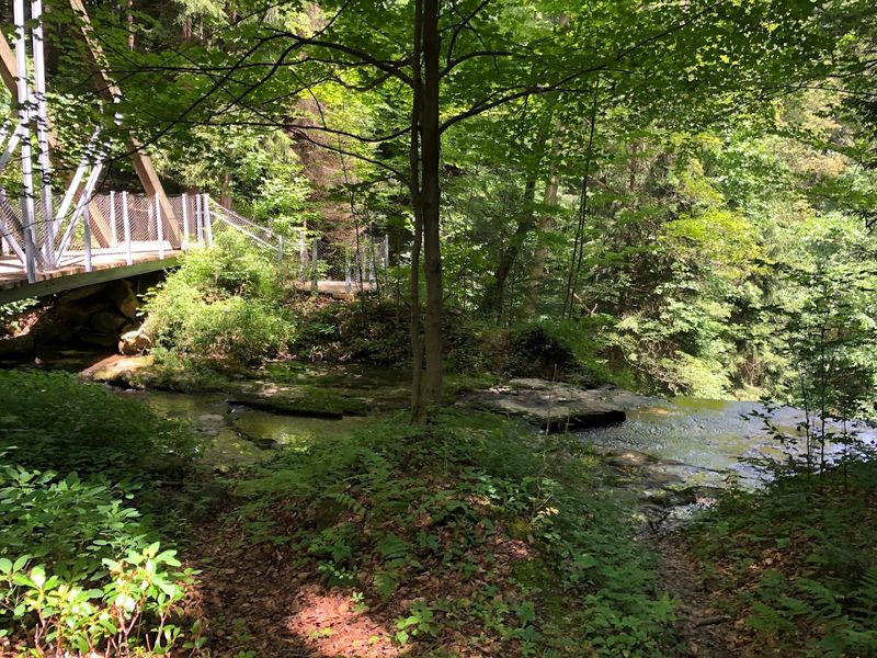 A Quick Stop or a Relaxed Nature Break