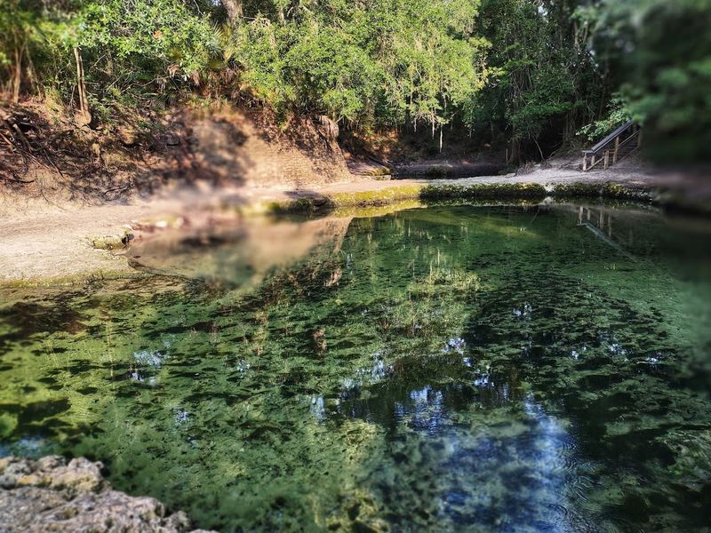Crystal-Clear Swimming Hole Surrounded by Limestone