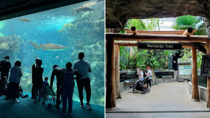 A Florida Aquarium Holds More Than 20,000 Aquatic Animals From Around the World