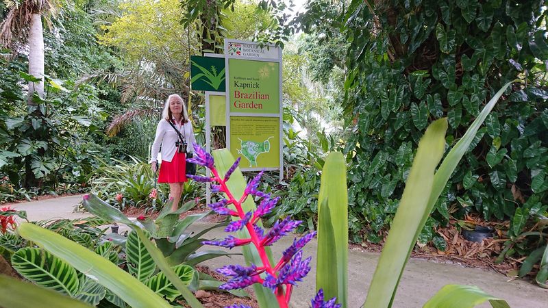The Brazilian Garden's Tropical Paradise