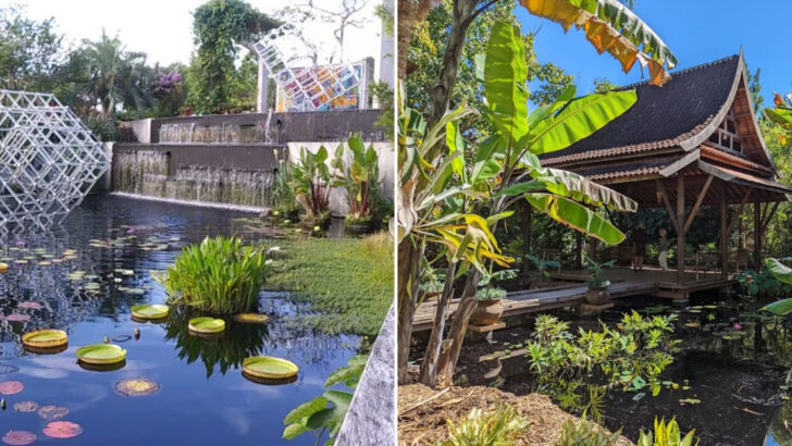 A Florida Botanical Garden Packs Seven Habitats And Over 1,000 Plant Species Into One Visit
