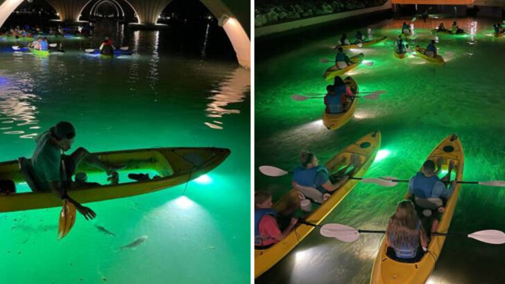 A Florida Glass-Bottom Tour Lets You See The Gulf In A Way Most Beach Trips Miss