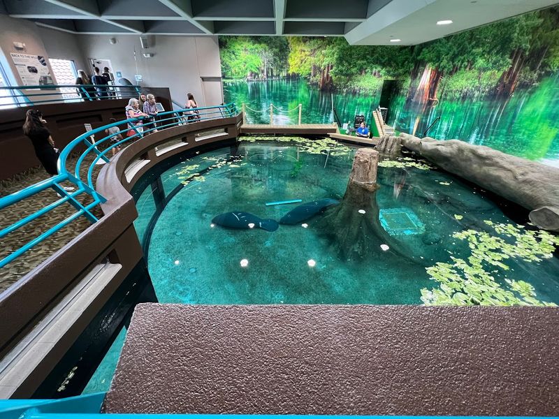 The Manatee Rehabilitation Center