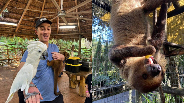 A Florida Wildlife Park Lets You Hand-Feed Sloths, Kangaroos, and Lemurs on a Private Guided Walk