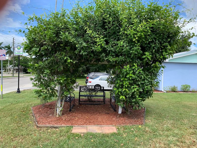 The Enchanting Bungalow Setting That Feels Like a Movie Set