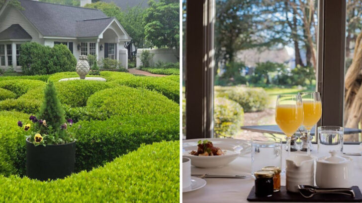 A Former North Carolina Dairy Farm Is Now One of the Most Acclaimed Fine Dining Destinations in the South