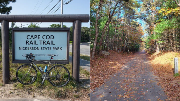 A Former Railroad Line Through Cape Cod Is Now One Of Massachusetts&rsquo; Best Family Bike Rides