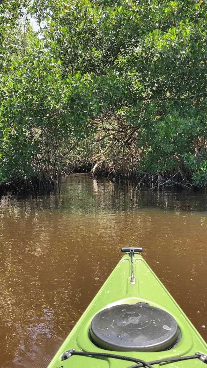 Why It's One of Florida's Most Unusual Nature Stops