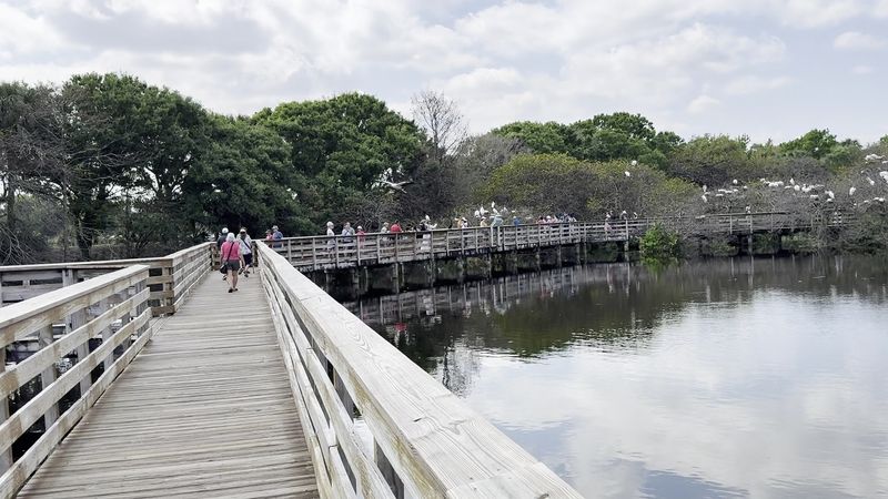 How the Boardwalk Flows and What You Will See First