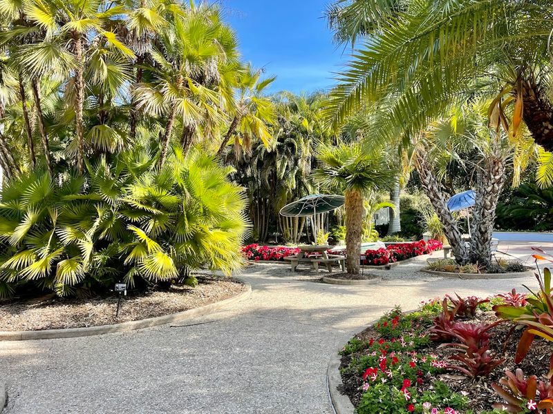 Free Admission Every Single Day