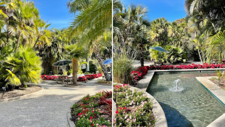 A Free Botanical Garden Just 35 Minutes From Tampa Makes An Easy Florida Day Trip