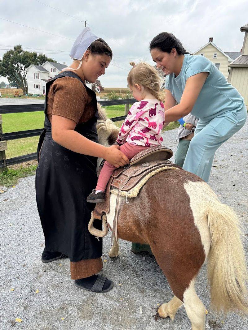 Pony Rides and Cart Rides for Kids