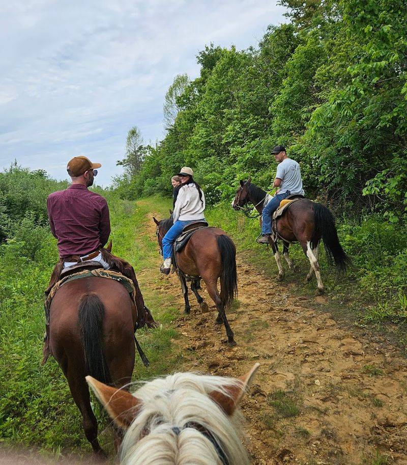 Visitor Info and Practical Tips