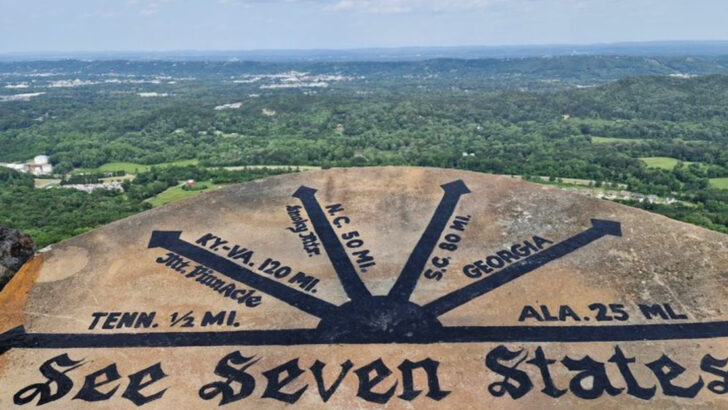 A Georgia Mountain Garden Has a Swinging Bridge and Claims a View of Seven States From One Overlook