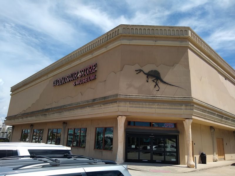 Planning Your Visit: Tips for Getting the Most Out of The Dinosaur Store