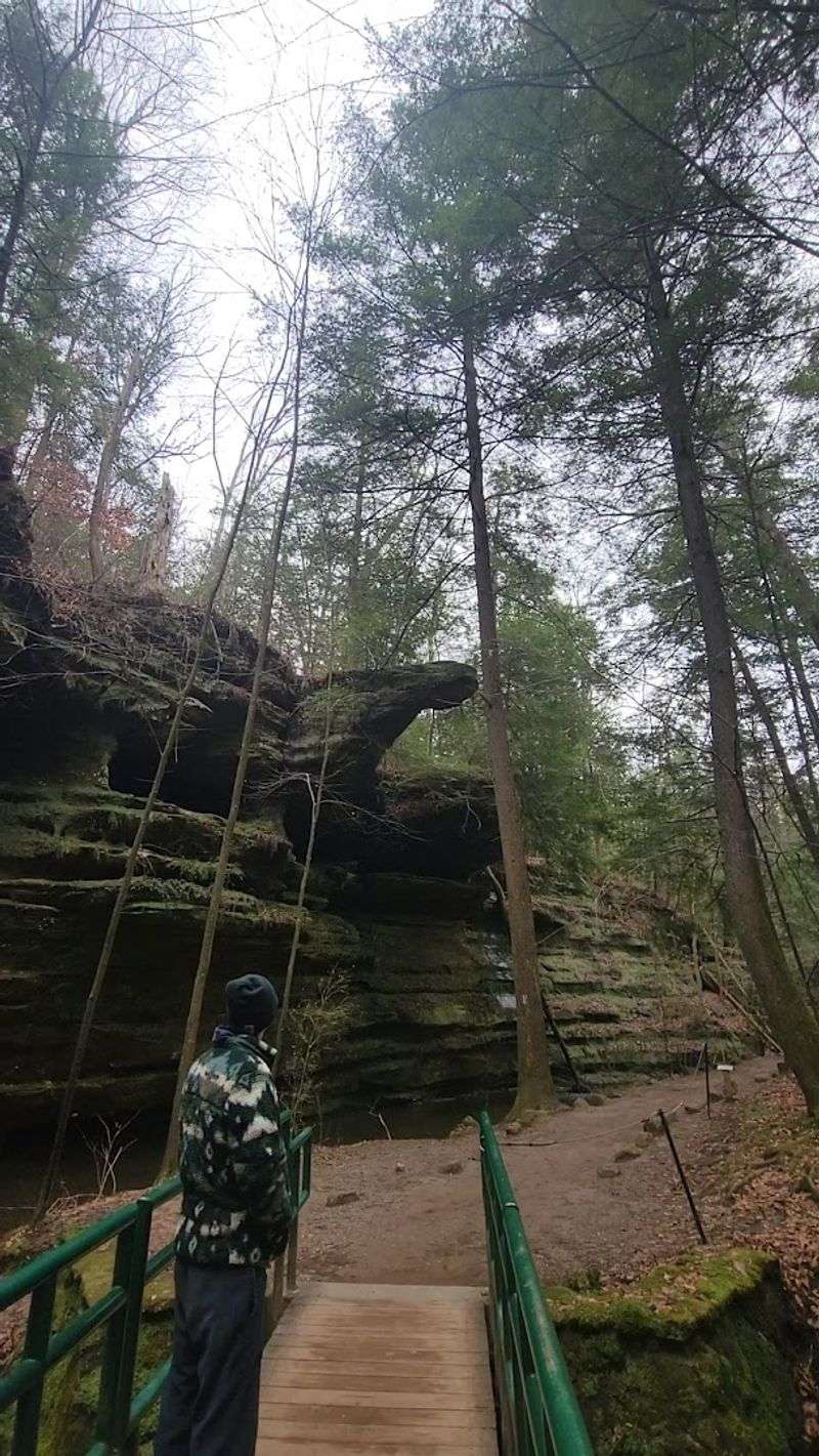 The One-Mile Loop Trail Experience