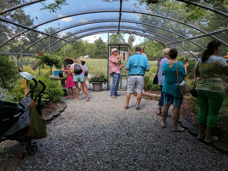 The Flight House and Hundreds of Free-Flying Butterflies