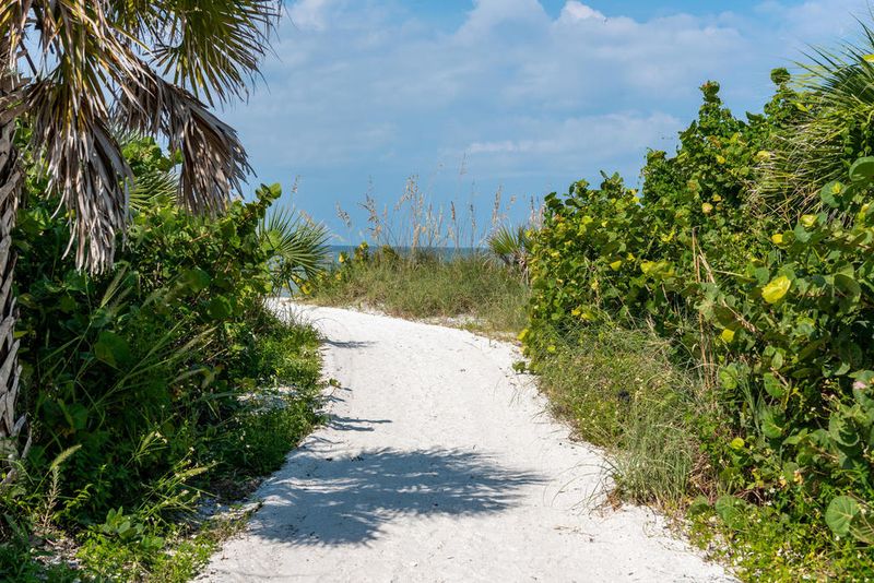 No Roads, Just Sandy Trails