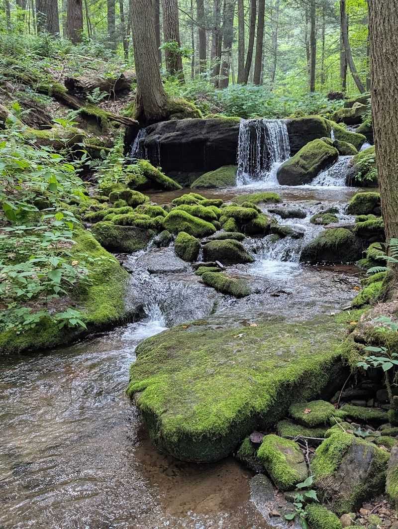 Why It Feels Like a Secret Waterfall