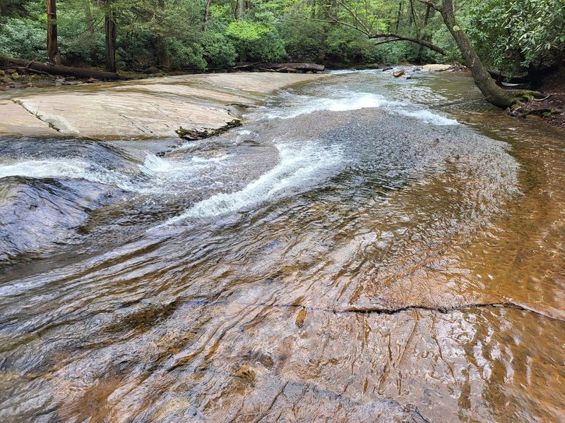 The Enchanting Linn Run Stream