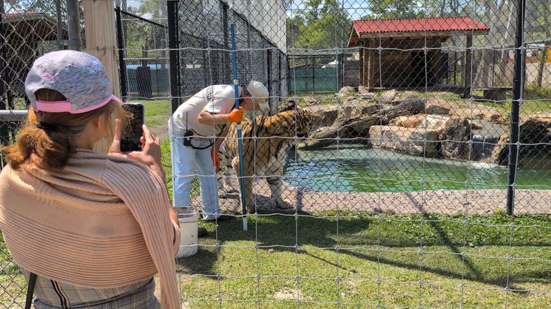 A Mission Built on Rescue, Not Display