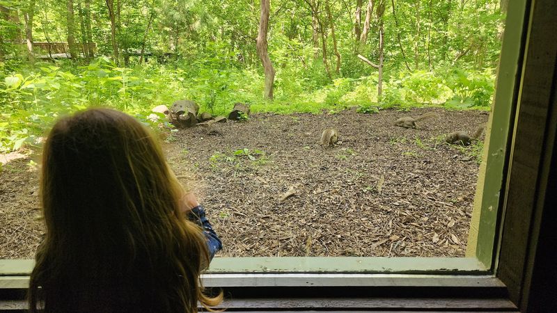 Family-Friendly Nature and Education Programs